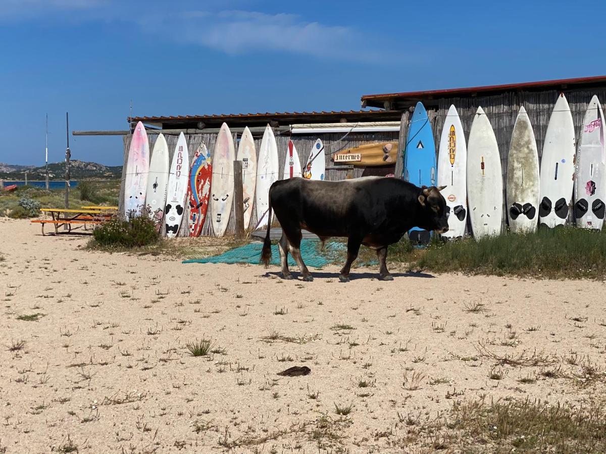 I Pini Palau